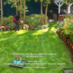A woman is planting flowers in a garden.